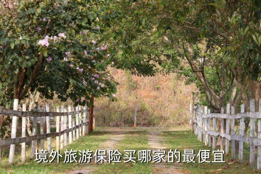 哪里買(mǎi)國(guó)際旅游險(xiǎn)便宜，請(qǐng)問(wèn)在哪買(mǎi)旅游保險(xiǎn)既便宜又實(shí)惠...